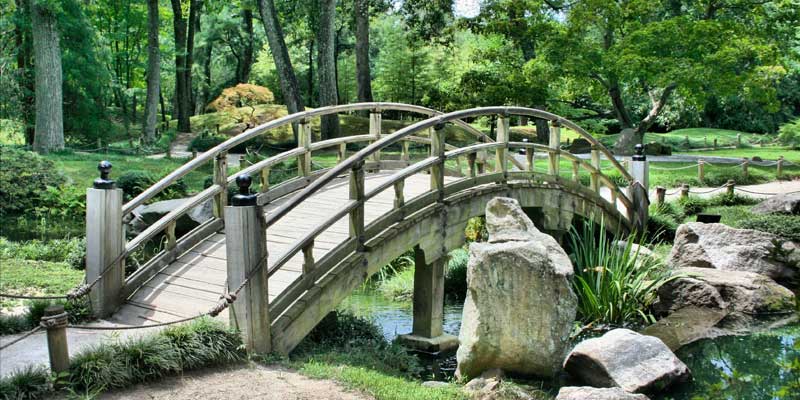 You are currently viewing Project 1