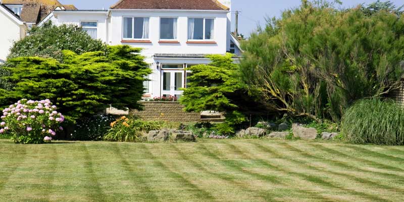 You are currently viewing Project 4