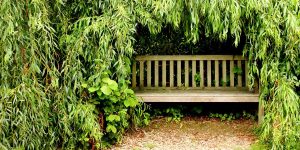 Read more about the article Aenean fermentum